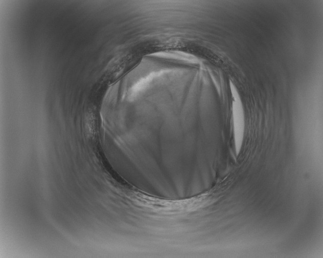 X0000056380035200509232236