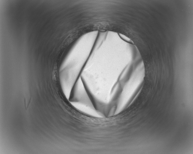 X0000056380038200509232236