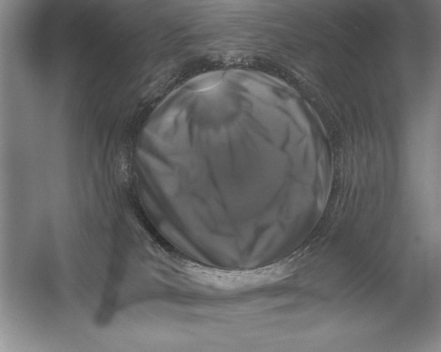 X0000056380039200509232236