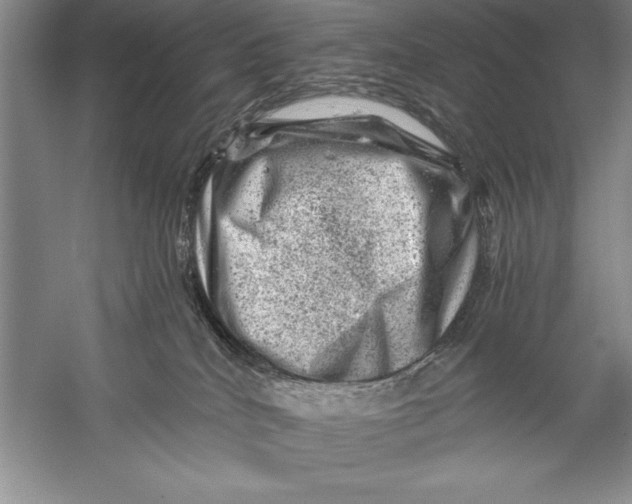 X0000056380040200509232236