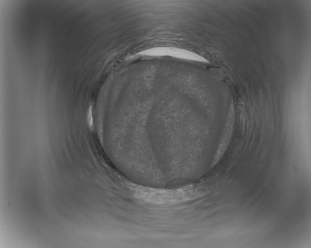 X0000056380042200509232236