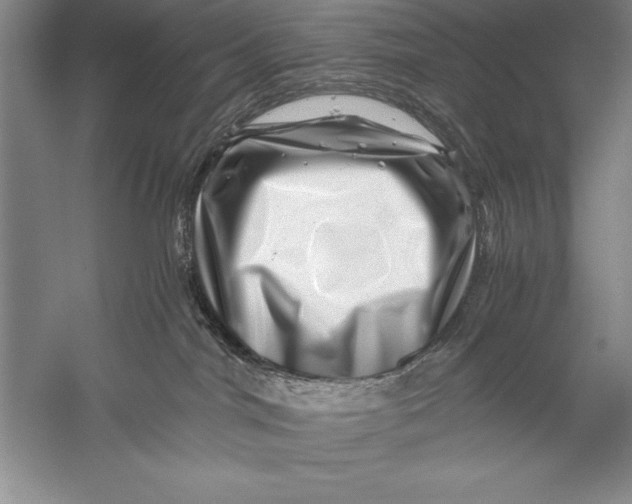 X0000056380044200509232236