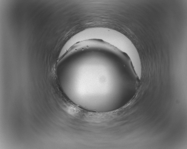 X0000056380045200509232236