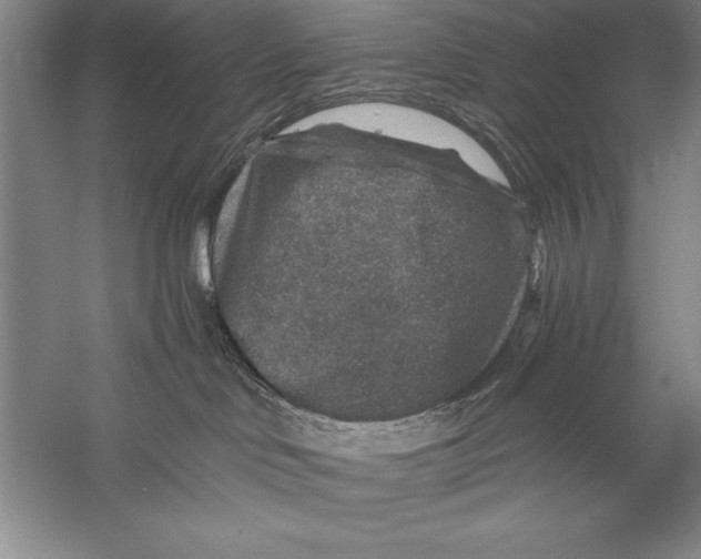 X0000056380046200509232236