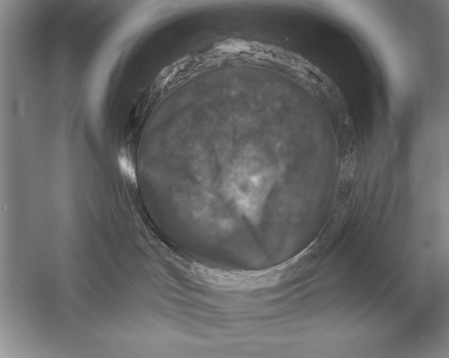 X0000056380047200509232236