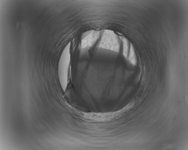 X0000056380048200509232236