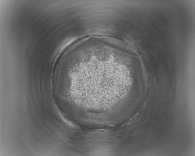 X0000056380050200509232235