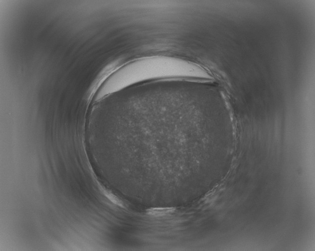 X0000056380051200509232235