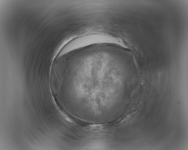 X0000056380052200509232235