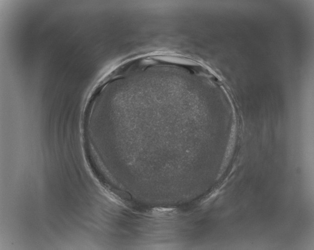 X0000056380055200509232235