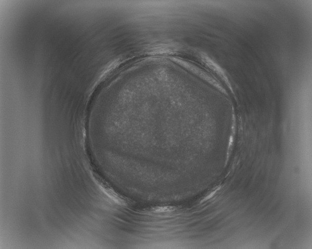 X0000056380059200509232235