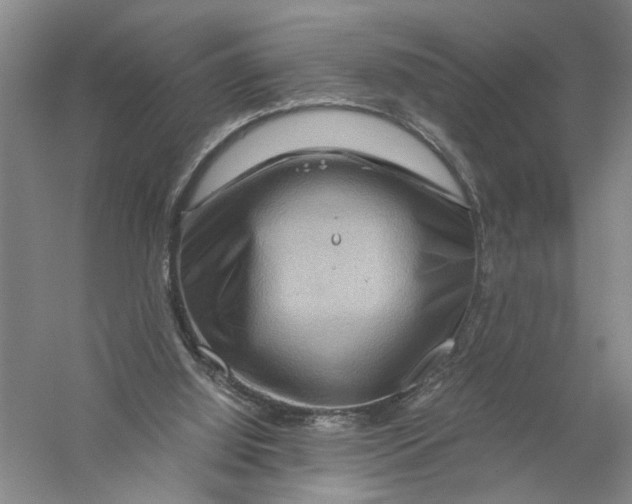 X0000056380060200509232235