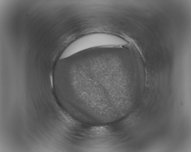 X0000056380061200509232235