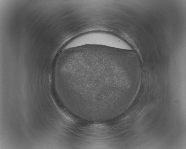 X0000056380063200509232235