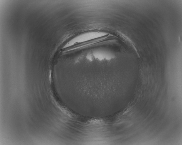 X0000056380067200509232235