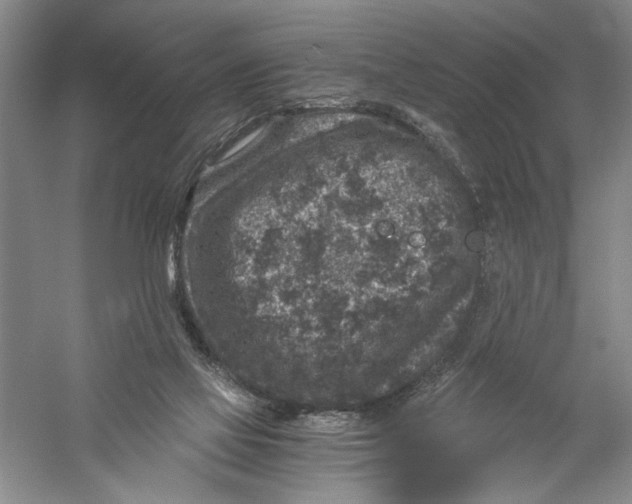 X0000056380069200509232235