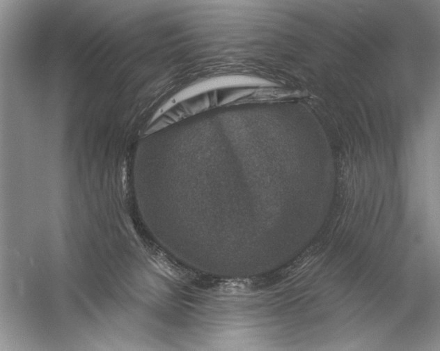 X0000056380080200509232236