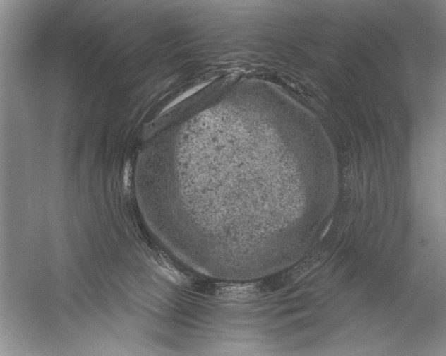 X0000056380081200509232236