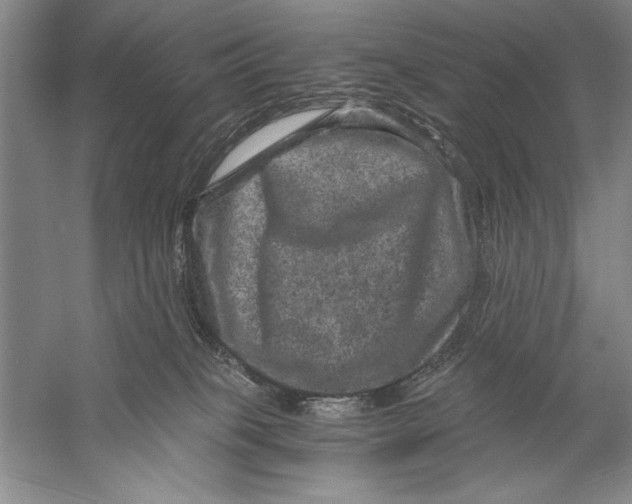 X0000056380085200509232236