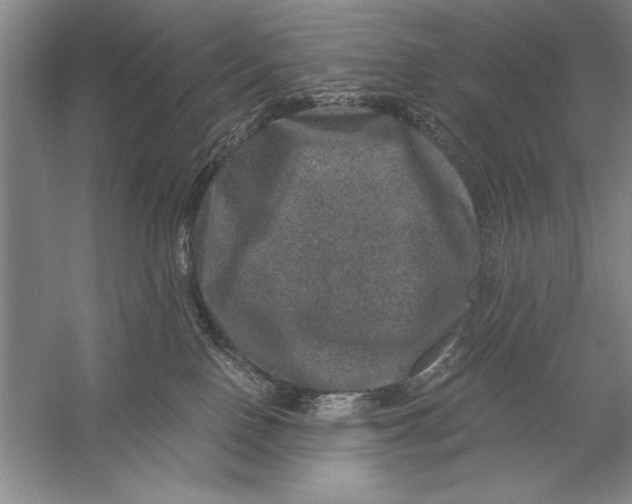 X0000056380090200509232236