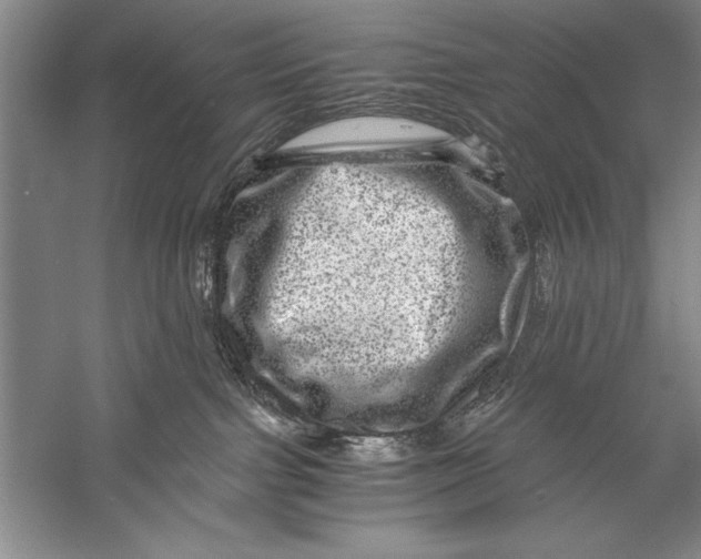 X0000056380091200509232236