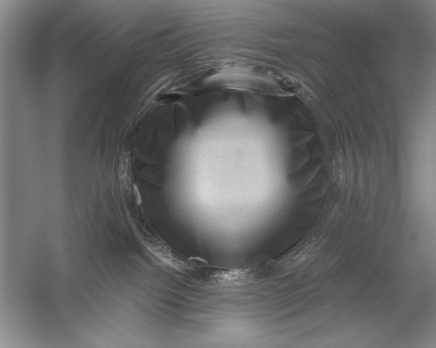 X0000056380092200509232236