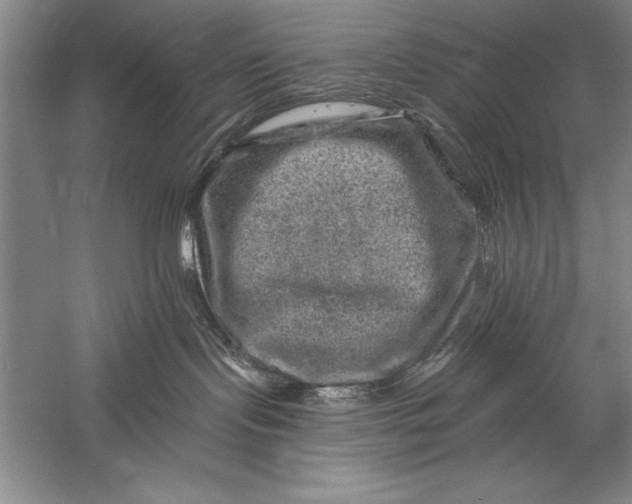 X0000056380095200509232236