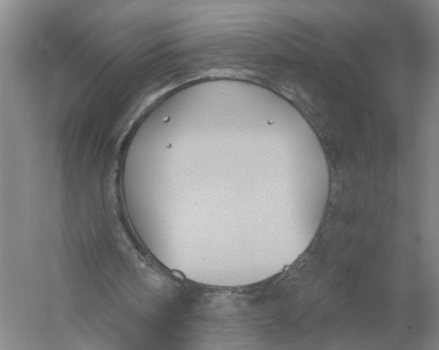 X0000056380098200509232235