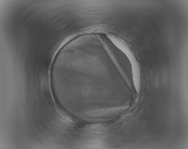 X0000056380100200509232235