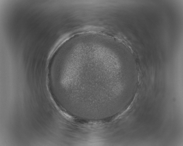 X0000056380101200509232235