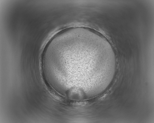 X0000056380103200509232235