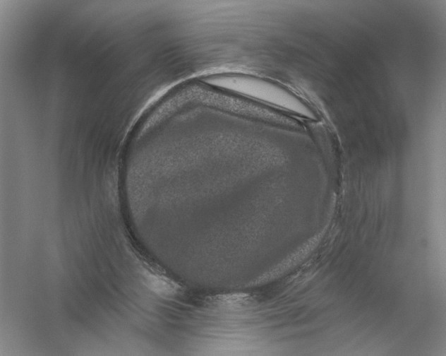 X0000056380108200509232235