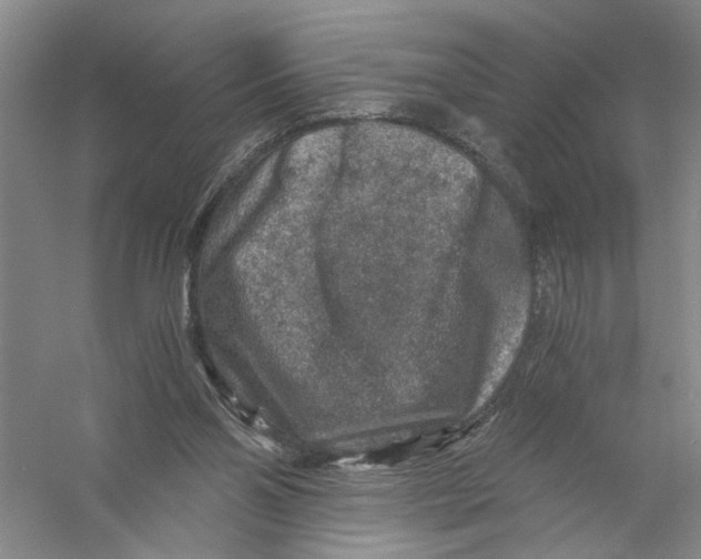 X0000056380110200509232235