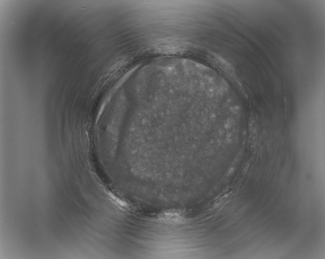 X0000056380114200509232235