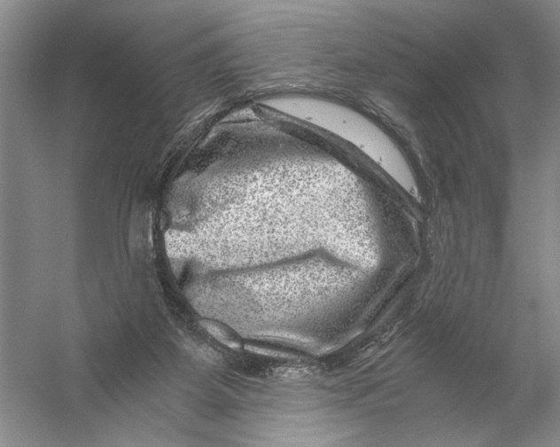 X0000056380115200509232235