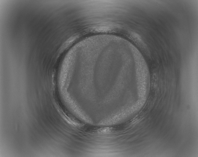 X0000056380116200509232235