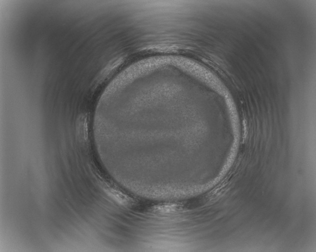 X0000056380120200509232235