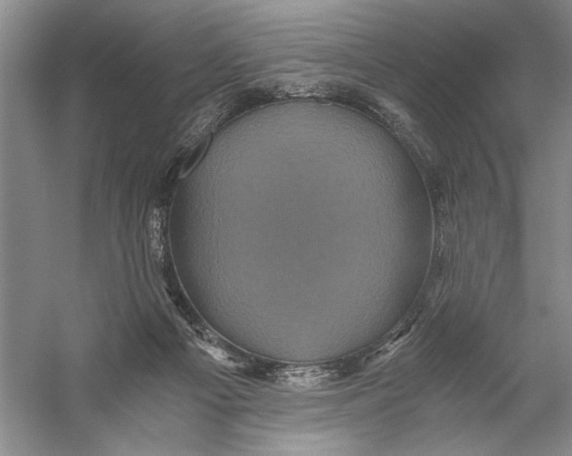 X0000056380121200509232235