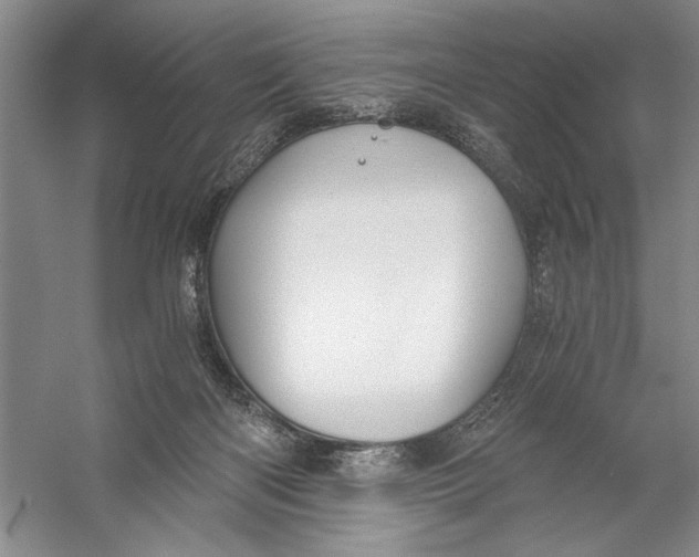 X0000056380122200509232235