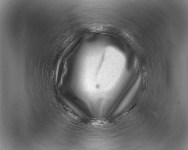 X0000056380125200509232235