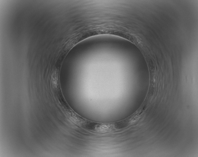 X0000056380129200509232235