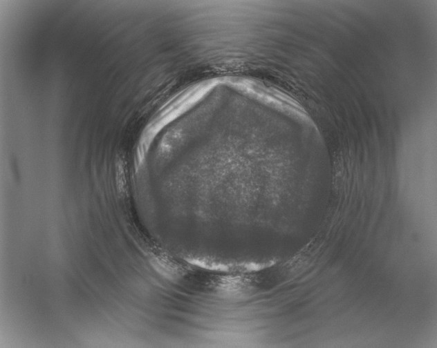 X0000056380130200509232235