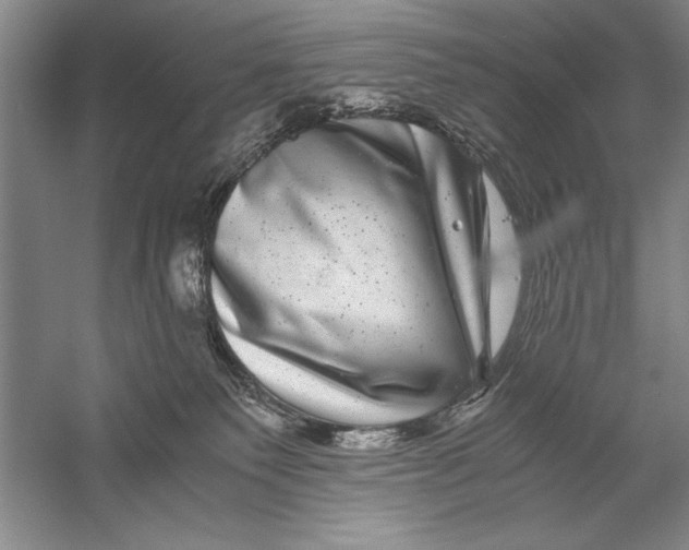 X0000056380135200509232234