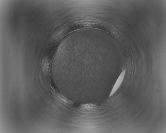 X0000056380137200509232234