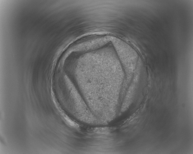 X0000056380145200509232233