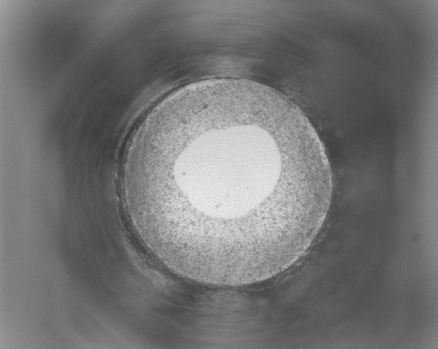 X0000056380146200509232233