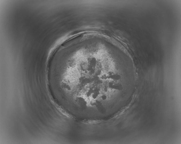 X0000056380149200509232234