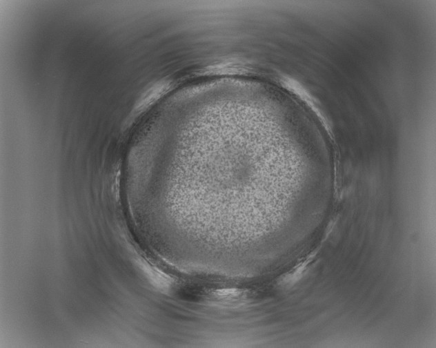 X0000056380153200509232234