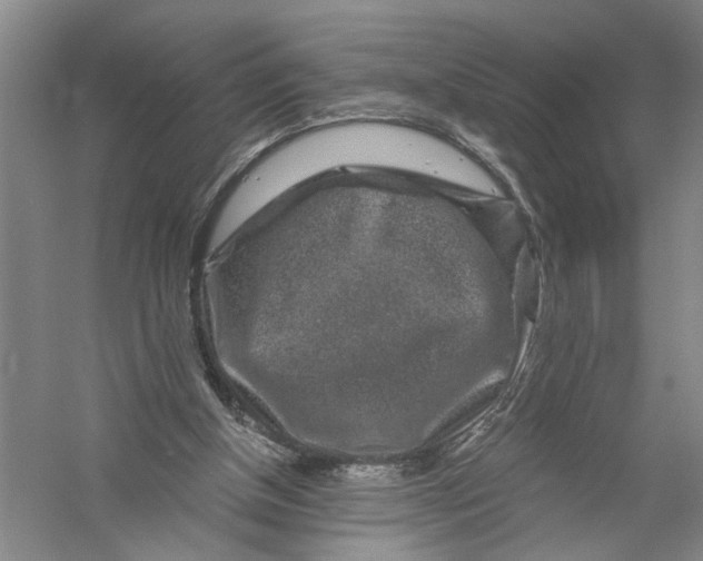 X0000056380154200509232234