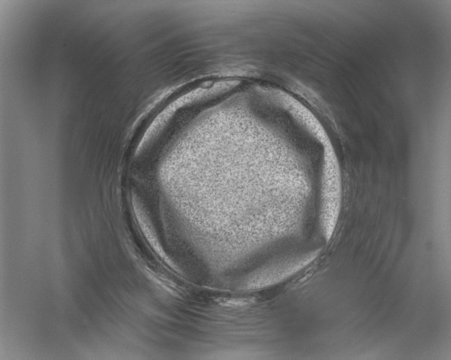 X0000056380155200509232234